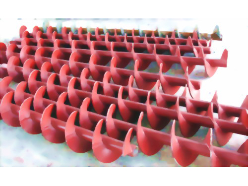 ���� �ʵ�