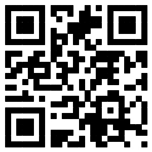 ����������е�������޹�˾